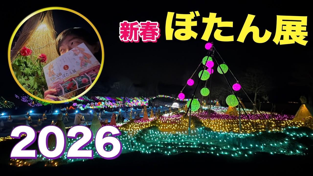 【新春2026】東松山ぼたん園のイルミネーションが綺麗だった！【リョーvlog】