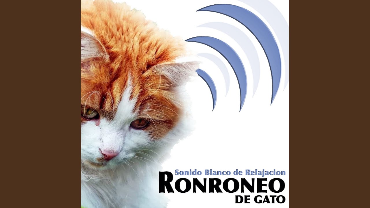 Sonido Blanco de Relajacion. Ronroneo de Gato