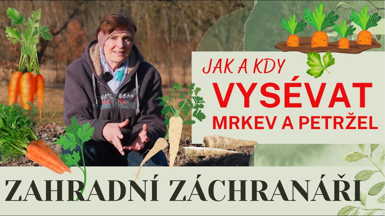 Jak správně vysévat mrkev a petržel? 🥕🌱  #garden #mrkev #petrzel #zahrada #vysev #zahradnizachranari