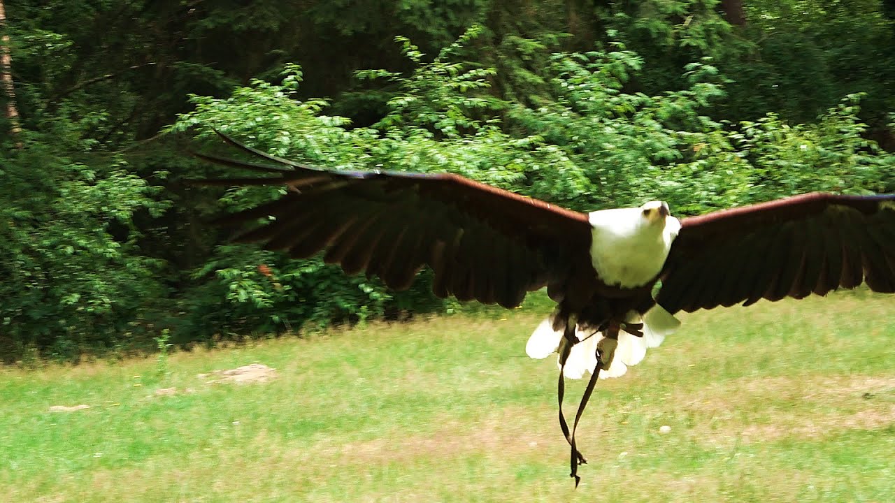 Wildpark Gangelt im Juni 2023