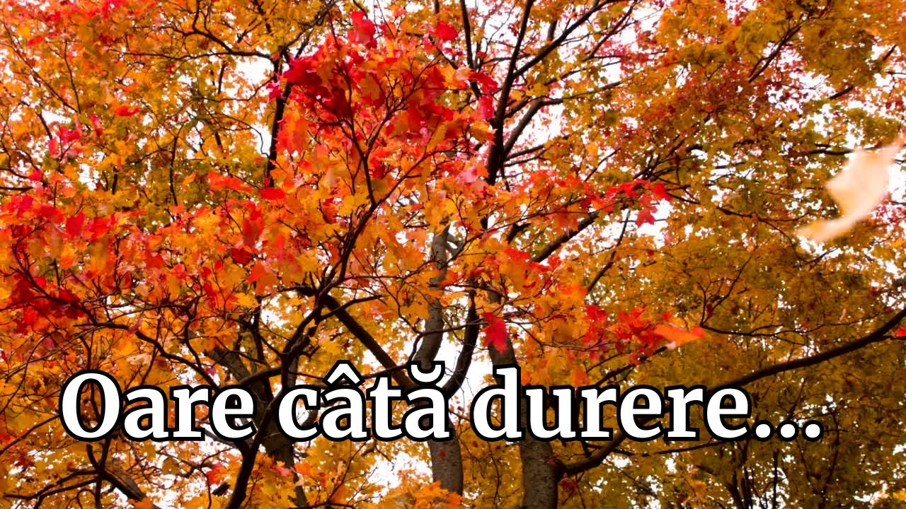 Oare c&acirc;tă durere? &ndash; C&acirc;ntec emoționant despre suflet, lacrimi și puterea de a renaște #dorsiritm