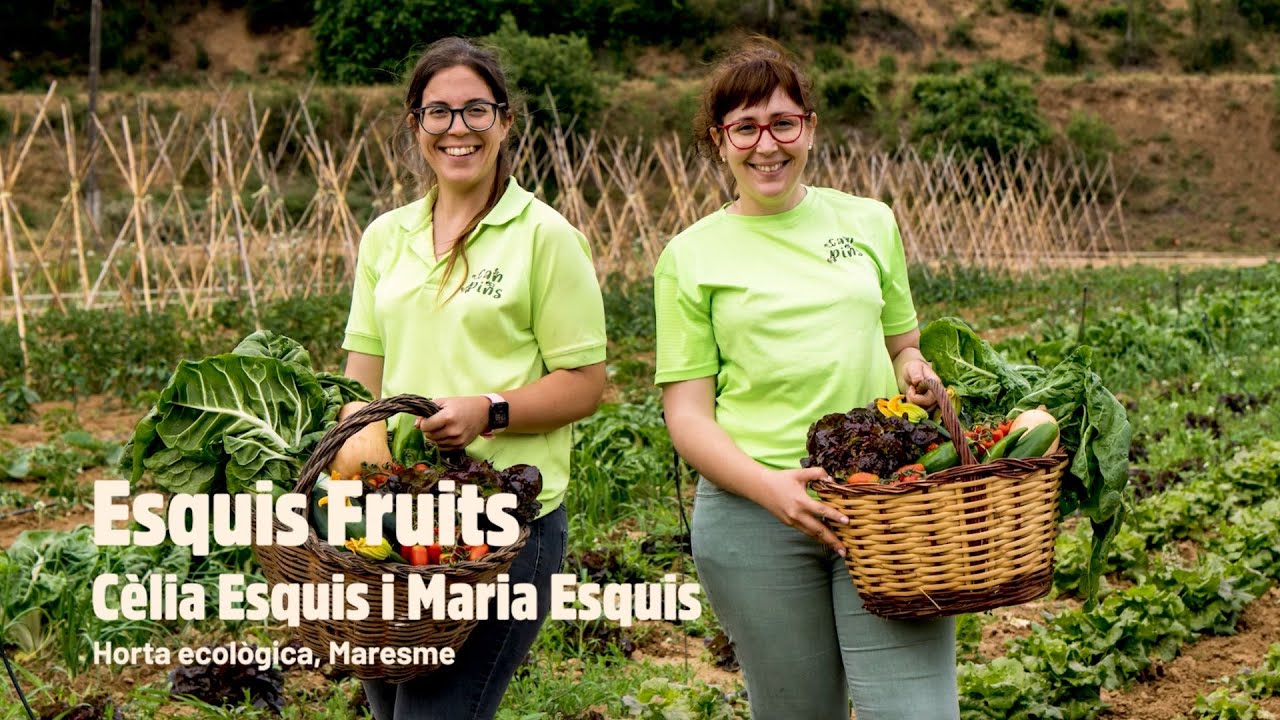 ESQUIS FRUITS 