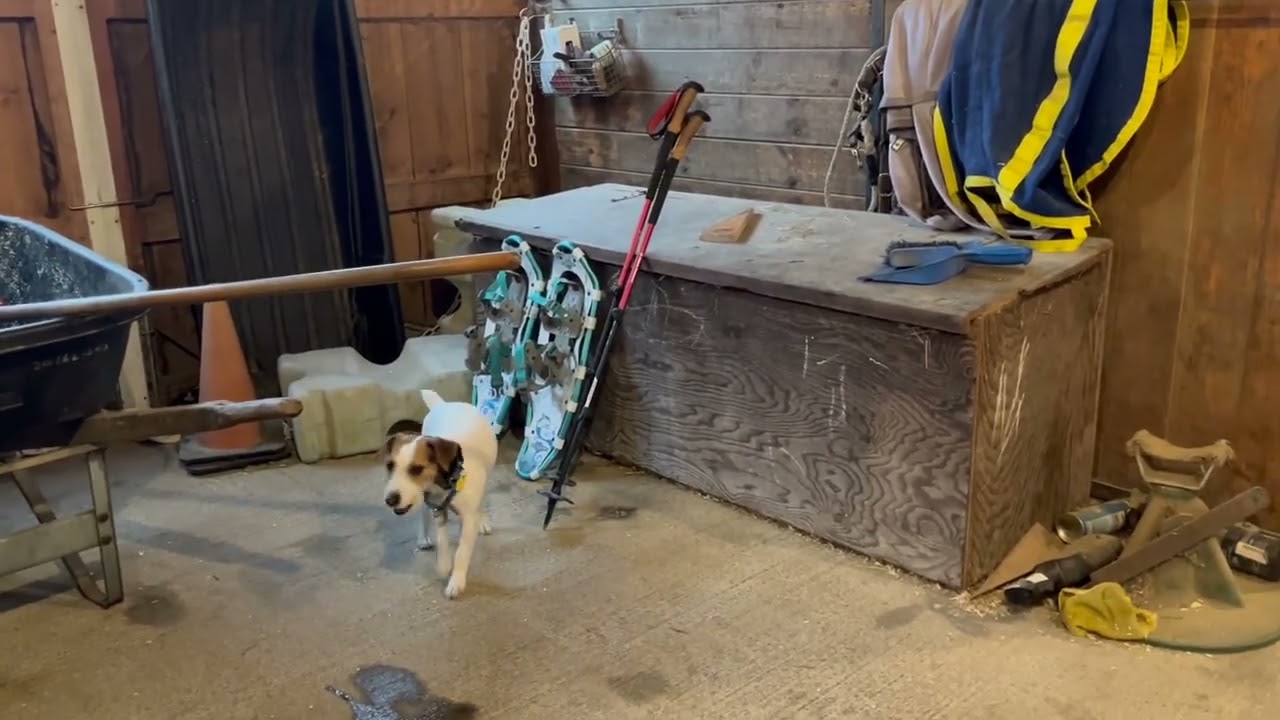 interior barn glove search x3 3 17 26