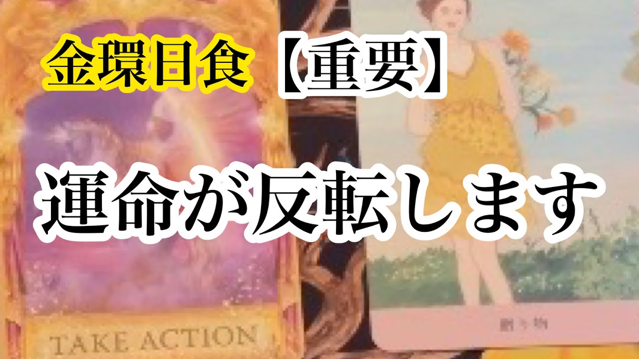 【緊急リーディング】昨日までの苦しみが✨光✨に変わります。これから6ヶ月であなたが手にする驚きの未来✨【タロット】