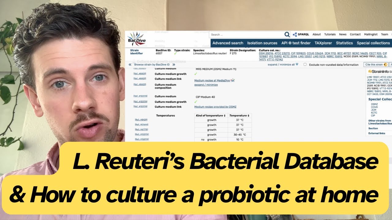 How to culture a probiotic - L Reuteri example