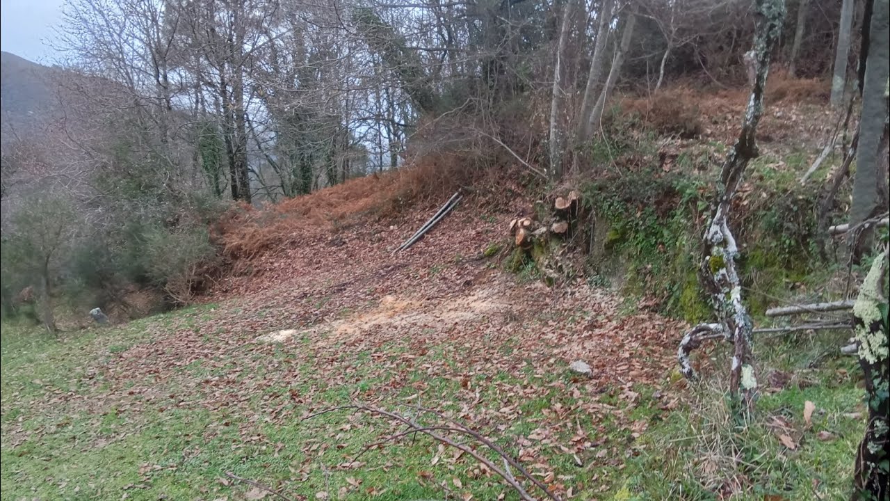 #30 Cutting firewood, and a little stroll 