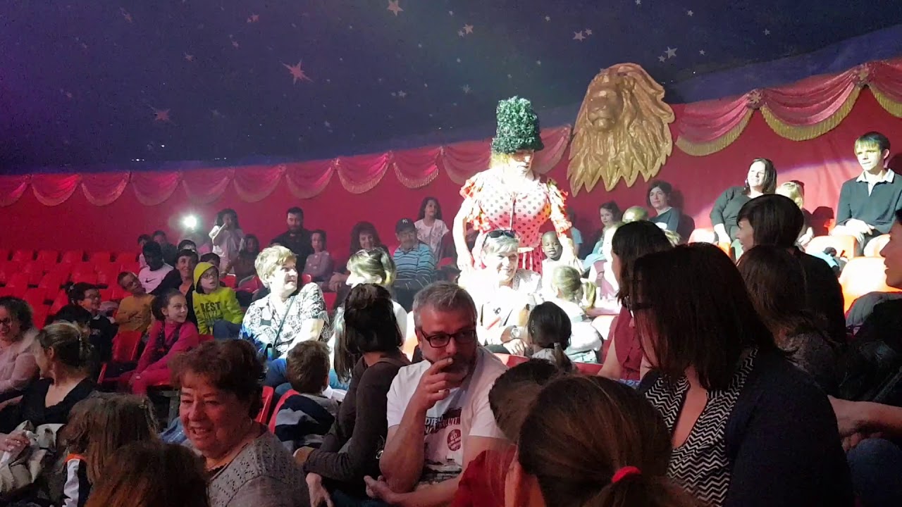 The Cardinalis - Amar 2018