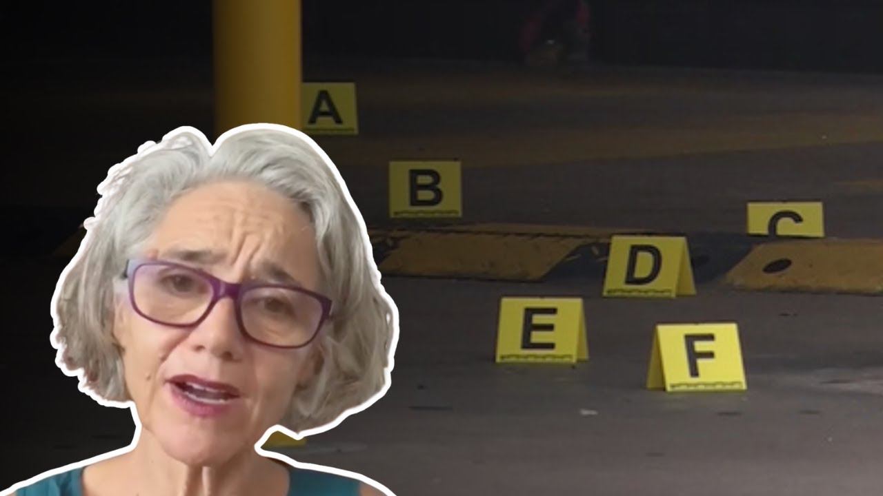 Member for Johnston ABSTAINS from voting on the CLP's 𝘉𝘢𝘪𝘭 𝘉𝘪𝘭𝘭