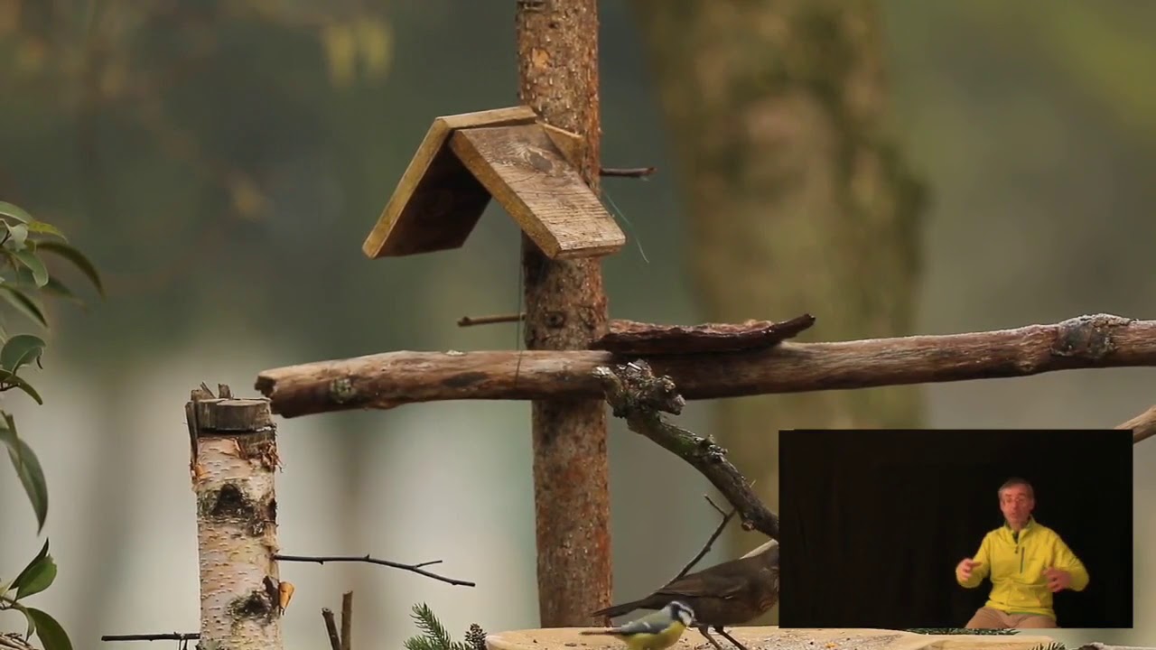 #birdgarden Pulizia e manutenzione del Birdgarden