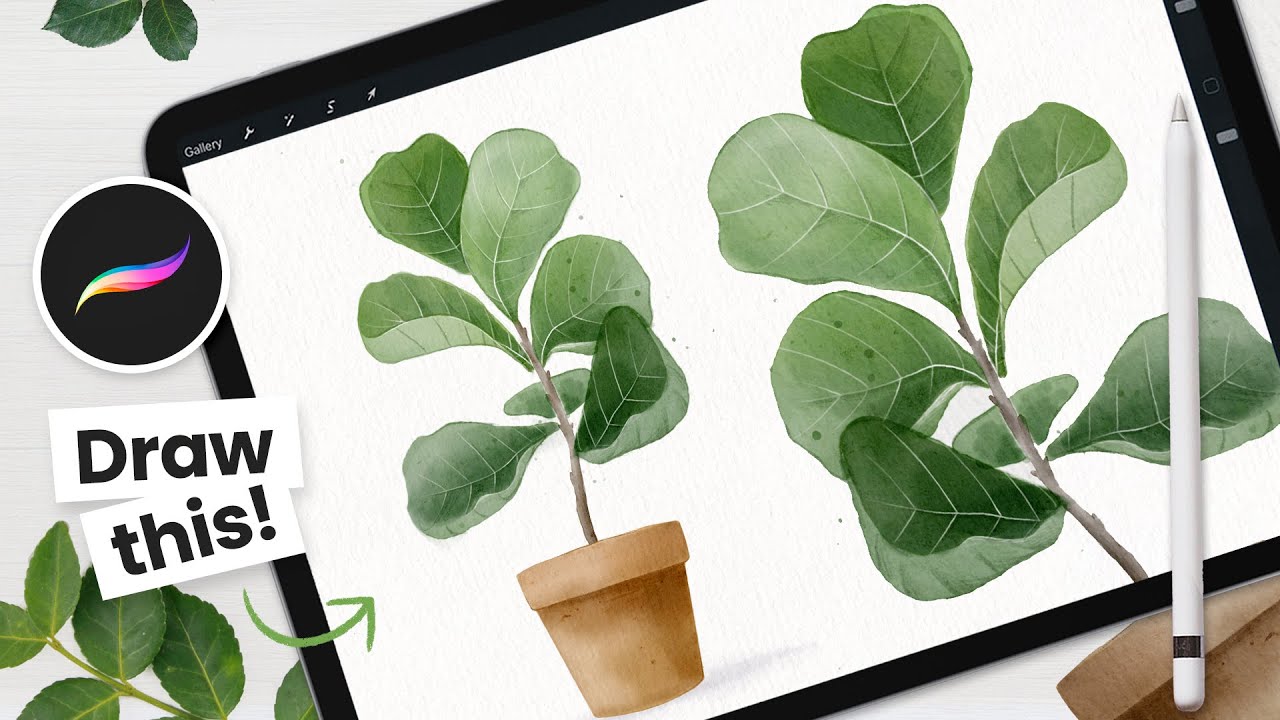 Как рисовать: акварельное фиговое дерево с листьями скрипки • Учебник Procreate