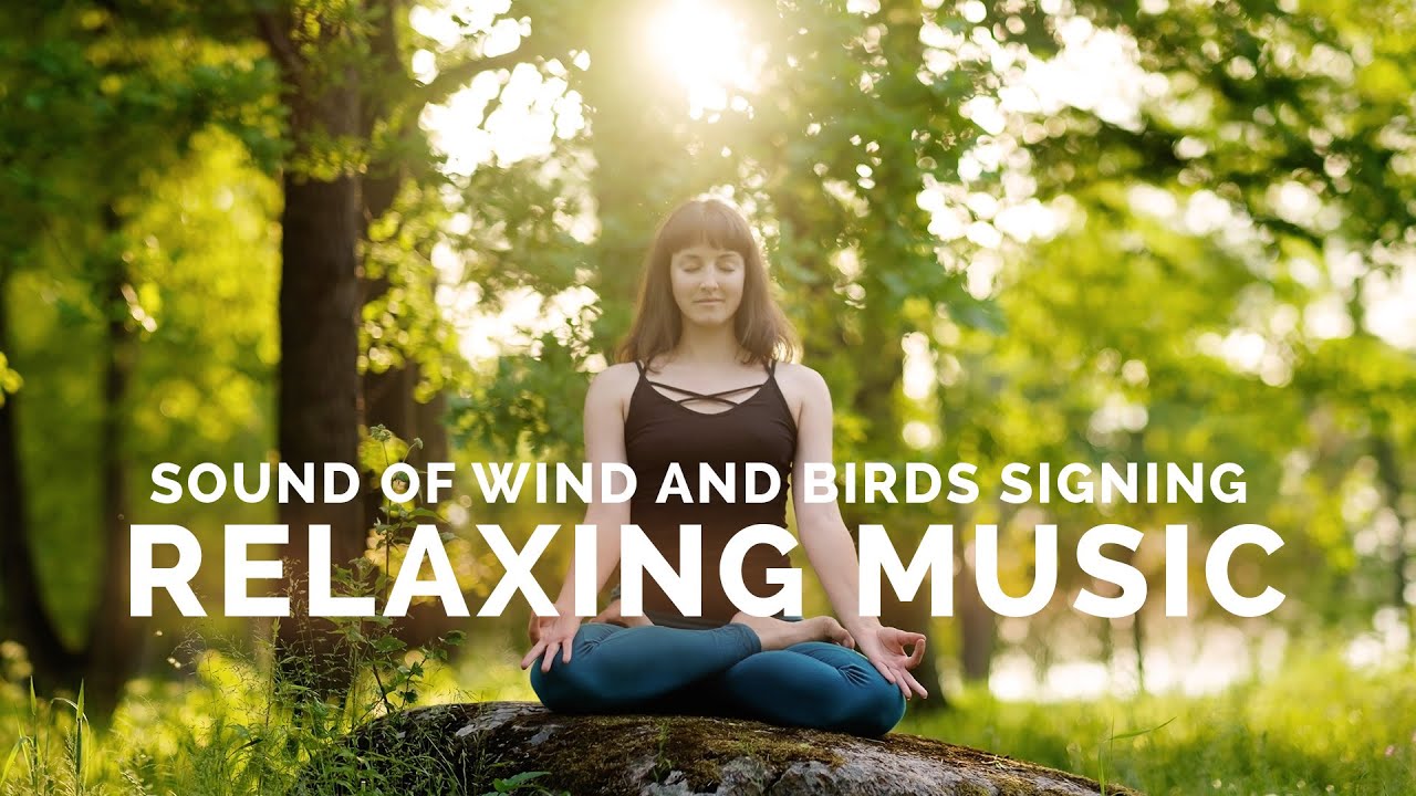 Sound of Wind and Birds Signing - Relaxing music for Stress Relief, Calming Music for Sleep