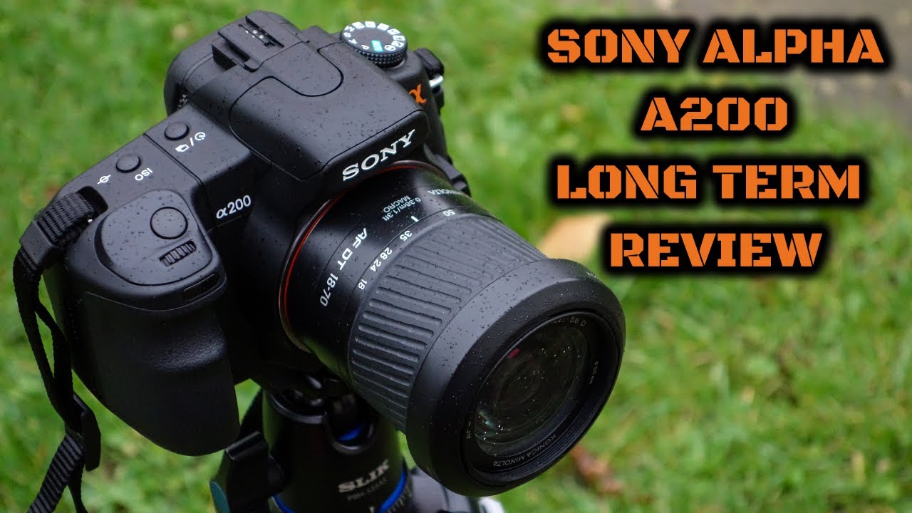 Sony Alpha A200: Long Term Review