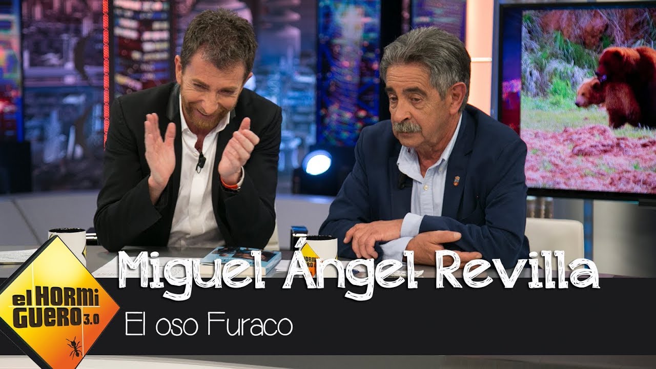 Miguel Ángel Revilla habla del famoso oso Furaco: 