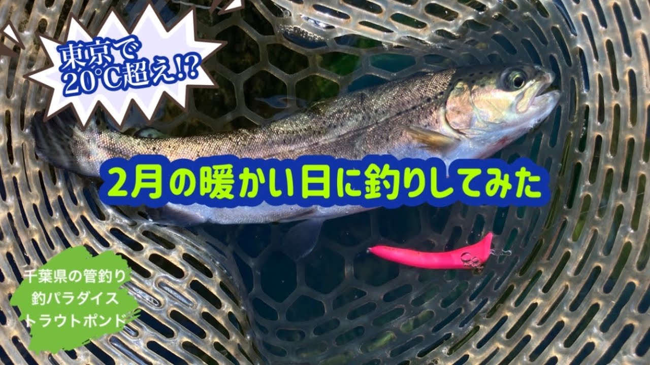 2月の暖かい日に釣りしてみた　釣パラダイスさんトラウトポンド