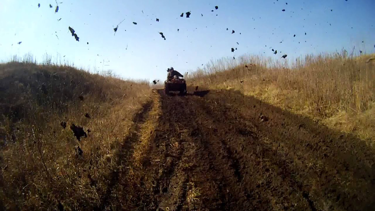 eXtremeZone - территория активного отдыха, тел. 232-17-62. www.extremezone.su