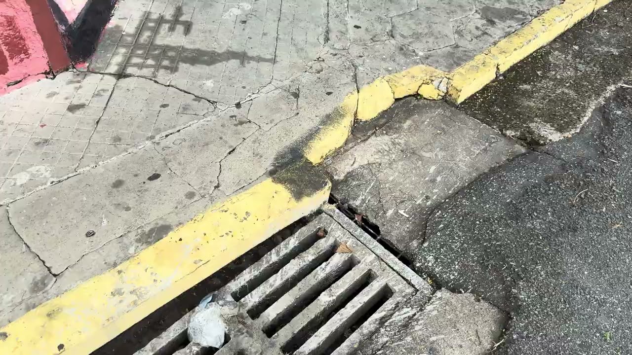 Rua Bartolomeu Tadei 168 