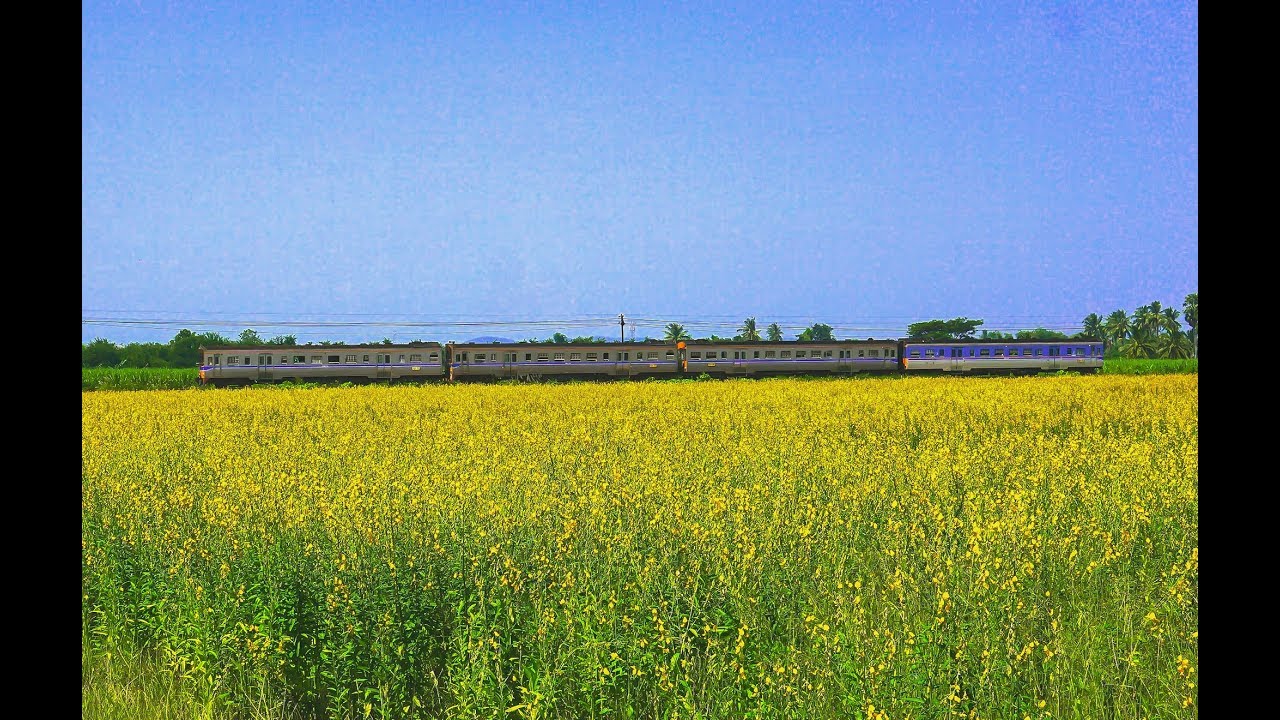 Hua Hin Train Spotter EP.28 นั่งรถไฟไปราชบุรี 6 ชั่วโมง เพื่อไปถ่ายขบวน 261 ที่สถานีบ้านกล้วย