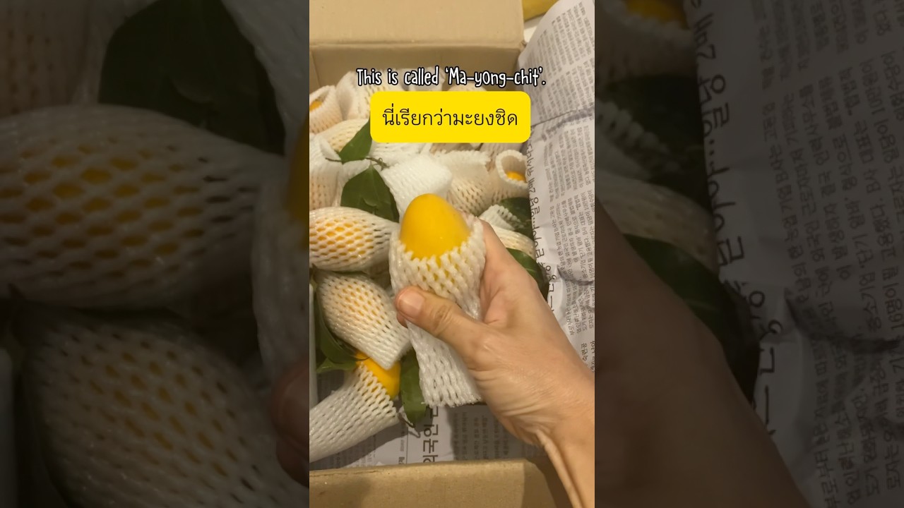 Learn Thai with Bo #learnthailanguage #thaionline #thaivocabulary