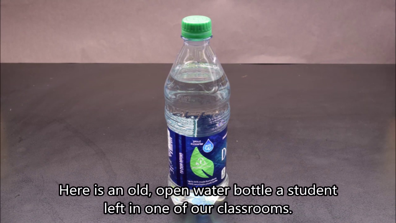 Water Bottle Contaminated with Algae Under the Microscope