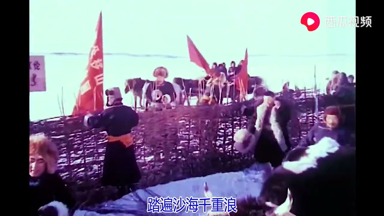 《金色的沙漠上》娜仁花