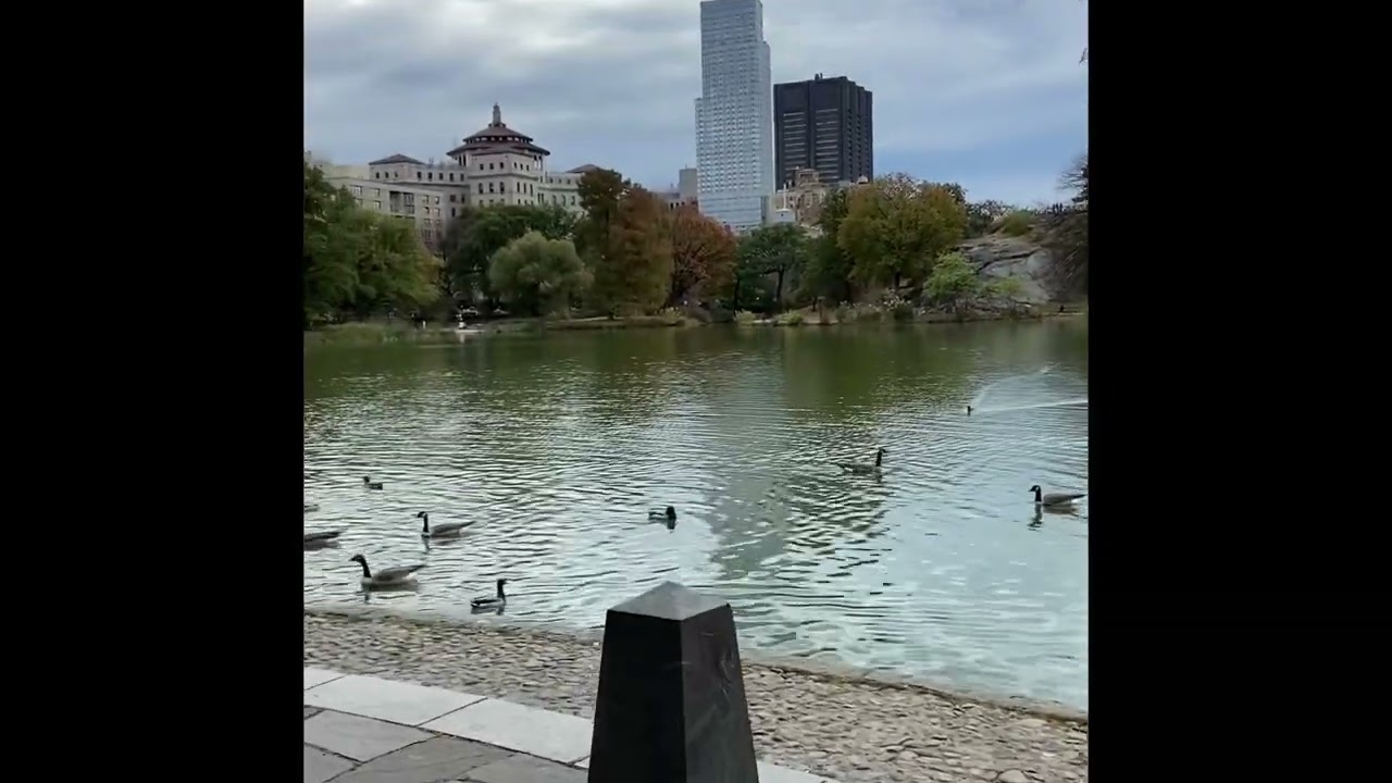 Harlem Meer ( Central Park) NYC