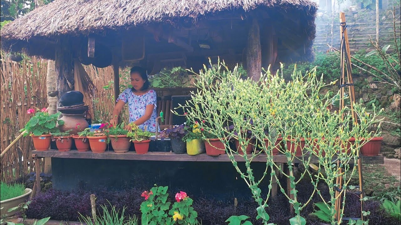 Paminsan minsan sa kubo