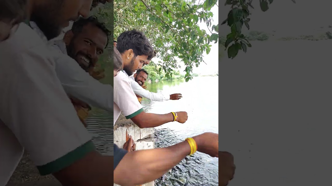 talab ki machhaliya|machhaliya |fish