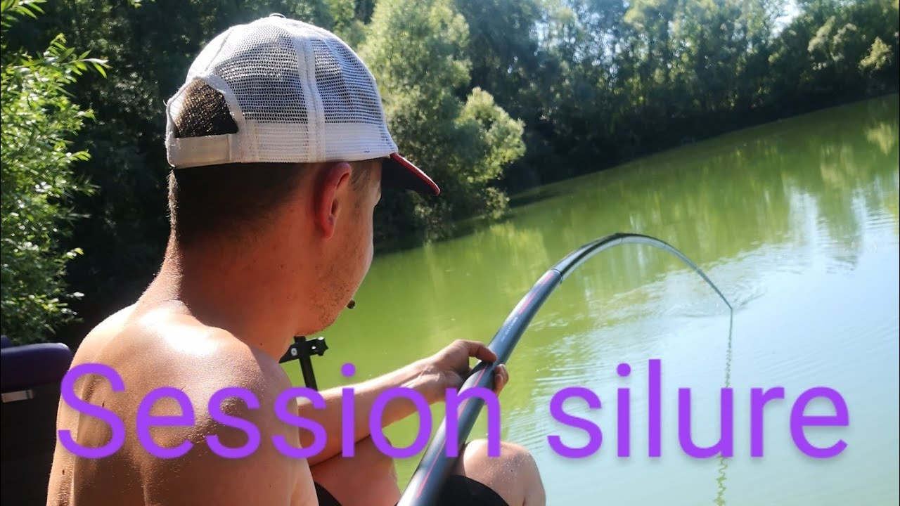 Compil combat silure au coup by team spe6men