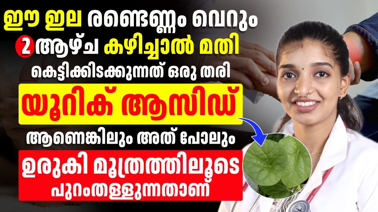ഈ ഇല വെറും വെള്ളത്തിലിട്ടു രണ്ടായിച്ച കുടിച്ചാൽ മതി നിങ്ങളുടെ യൂറിക് ആസിഡ് ഒരാഴ്ച മാറ്റിയെടുക്കാം
