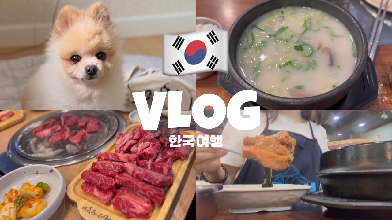 VLOG #187 🇰🇷3박4일 먹기 만하는 한국여행ㅣ뼈해장국ㅣ수제비ㅣ설렁탕ㅣ3泊4日食べるだけの韓国旅行ㅣピョヘジャングクㅣスジェビㅣソルロンタン