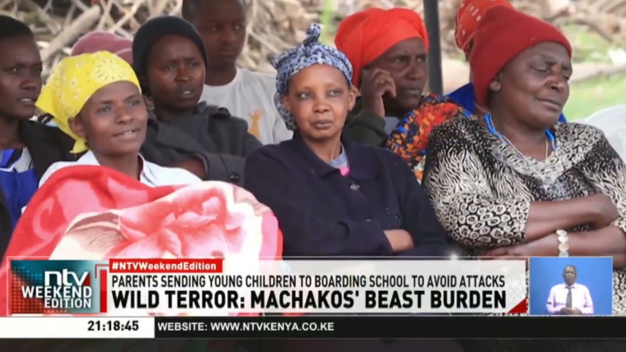 Machakos residents raise alarm over escalating wild animal attacks