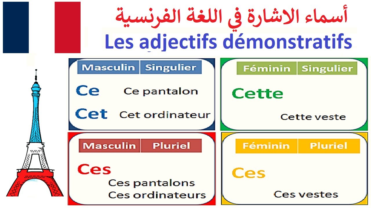 Les adjectifs démonstratifs - أسماء الاشارة في اللغة الفرنسية