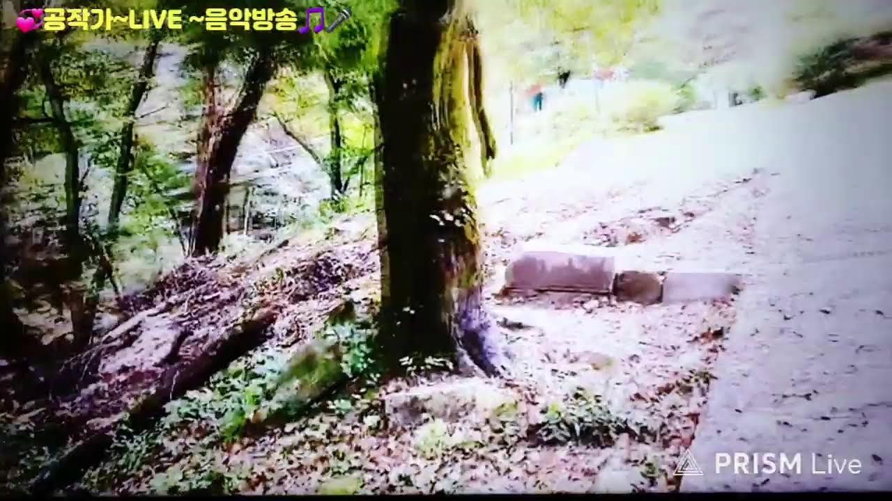 🌹공영규&스마트사진작가TV📷 ~음악방송🎸🎶(대표곡&커버곡&신청곡)