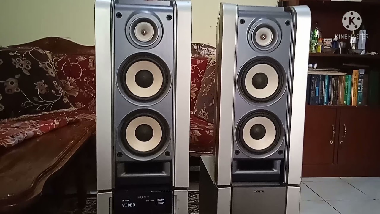 Sony Flx5D real home theater