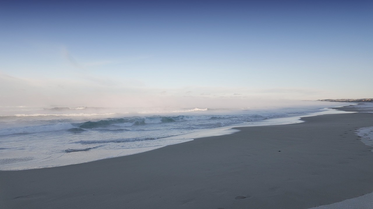 Frosted Dunes & Misty Waves: Early Winter Walk at Borestranda (ASMR Slow-TV, Norway)