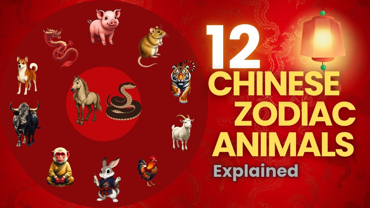 12 Chinese zodiac Animals Explained