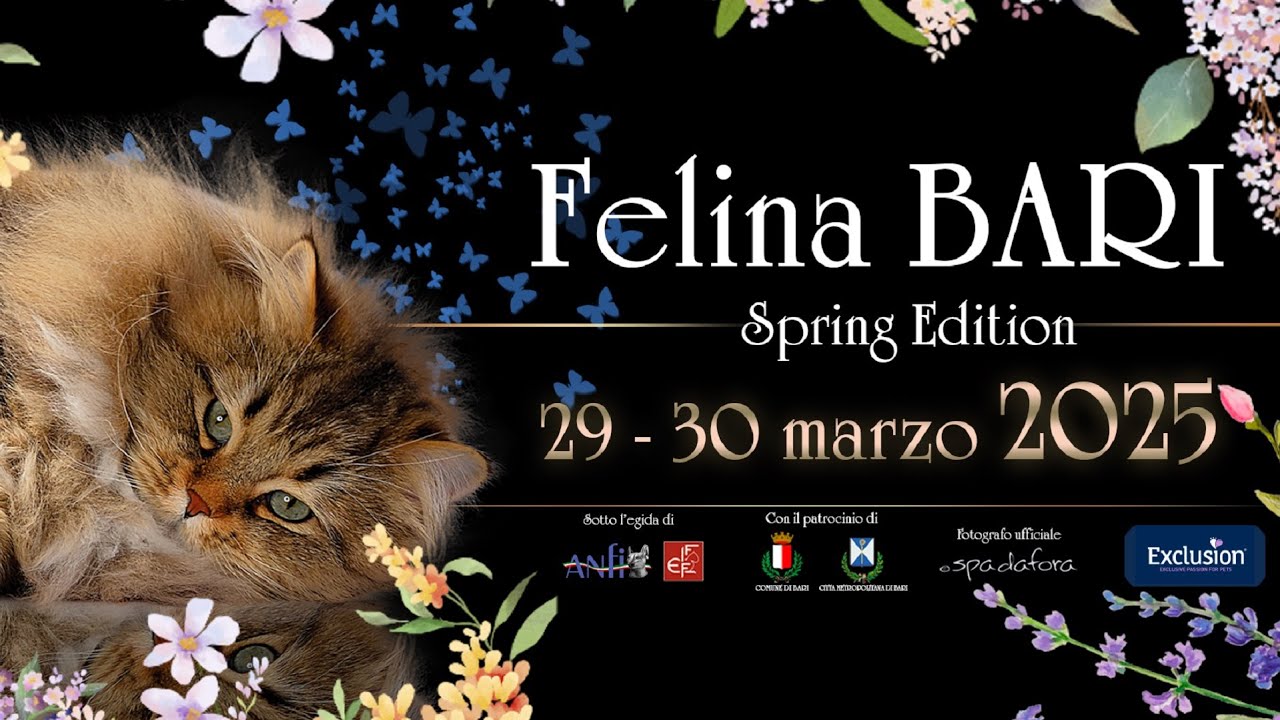 Esposizione Internazionale Felina Bari 2025 😺 Spring Edition