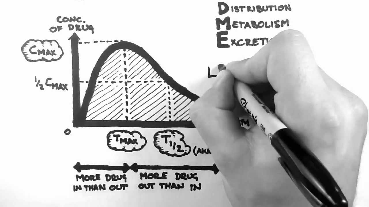 Фармакокинетика 1 — Введение