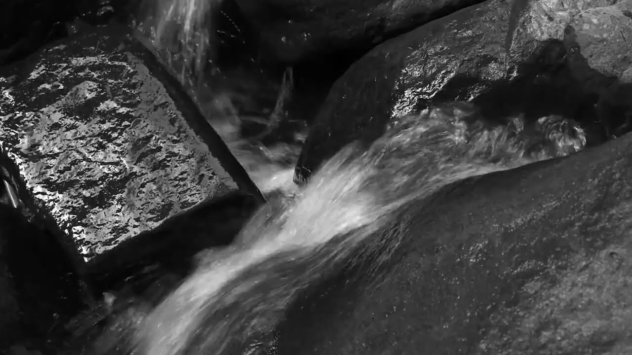Signs of Spring / Field recording / Monochrome Movie