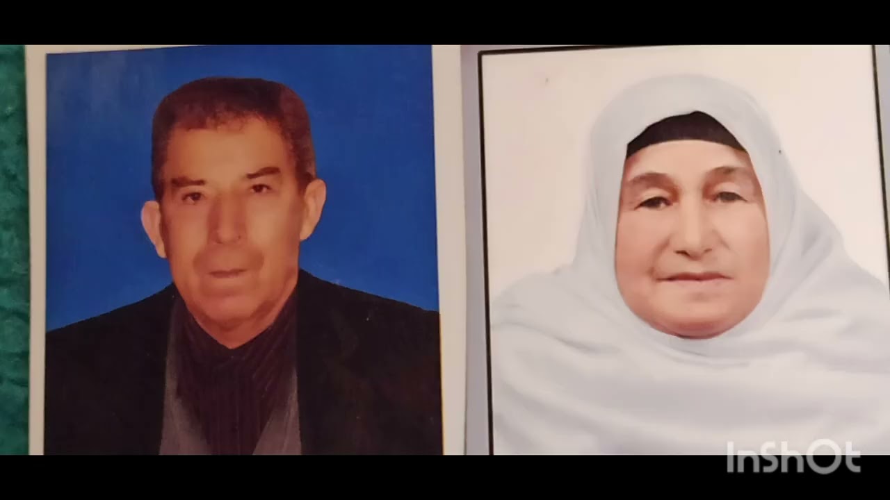 teknecik köyü Bitlis Tatvan