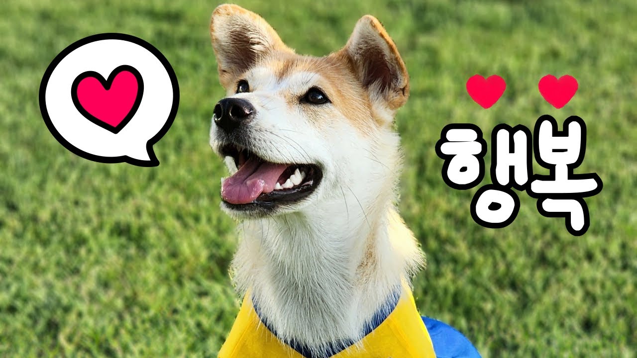 저는 괜찮습니다