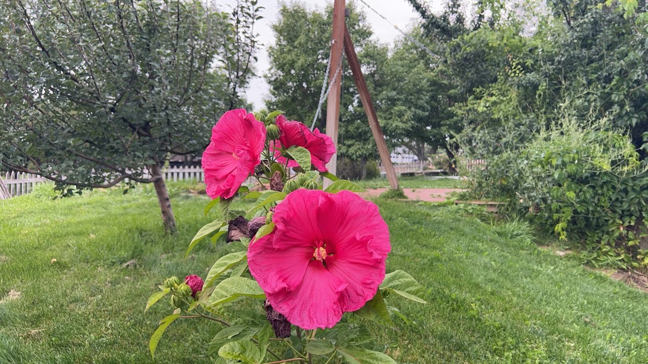 Live Shopping Haul!!