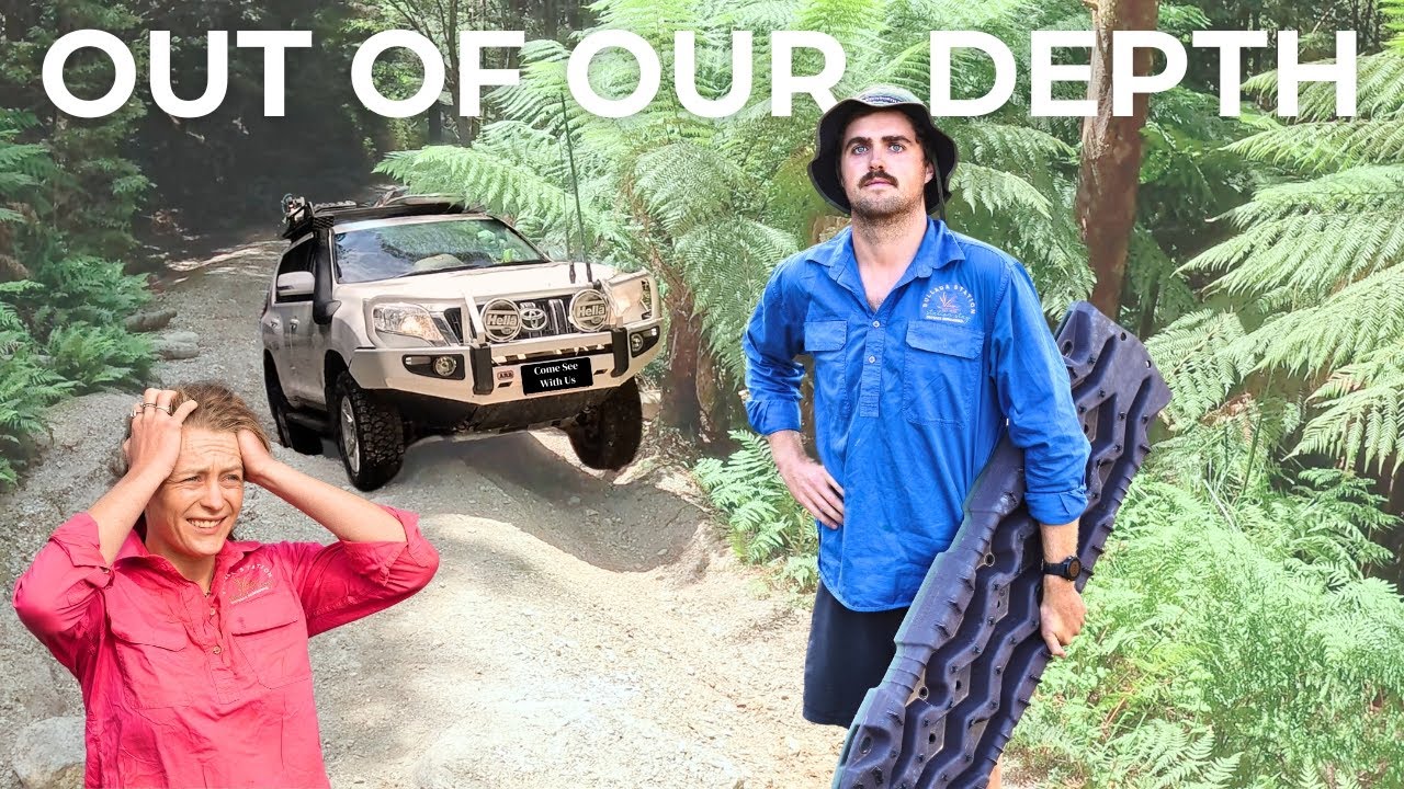 4WD Track in Tasmania.. Our most stressful day