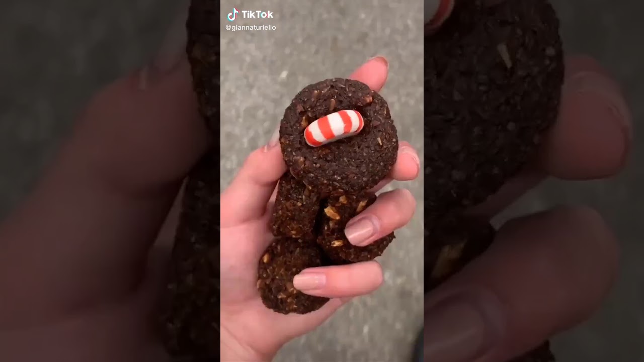 Tik toks for dressage riders | tik toks for equestrians compilation