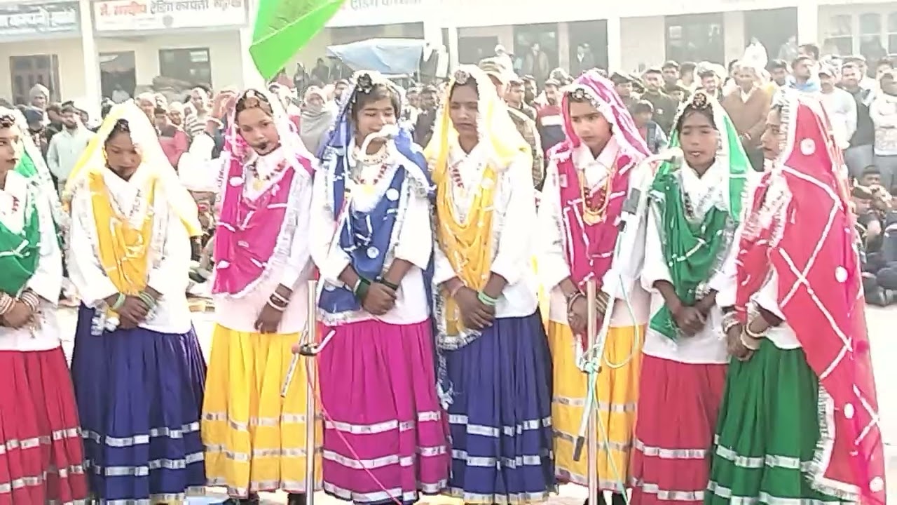 हरा-भरा मेरा हरियाणा 🌾💚खेती-किसानी की पहचान,दूध-दही की शान,मेहनत, मिट#IndianFarmers#JaiJawanJaiKisan