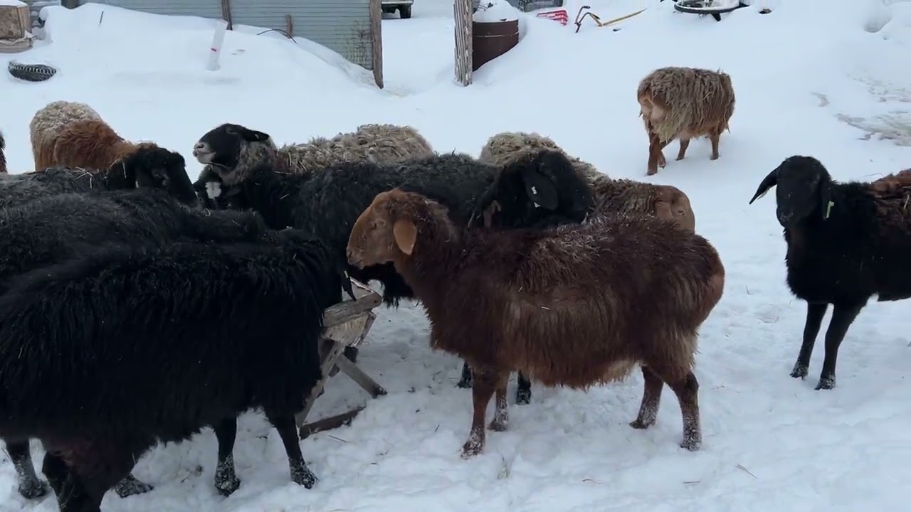 Всех с приходом календарной весны 🌱