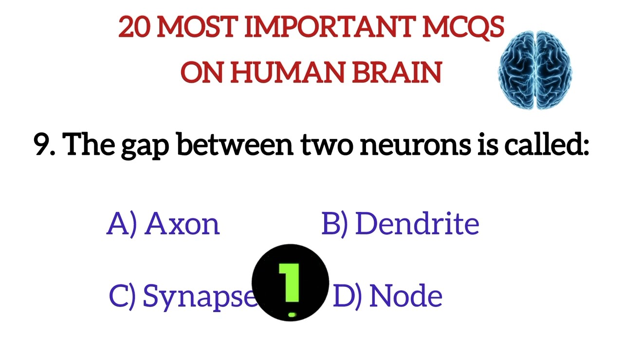 Human Brain Quiz | 20 Tricky MCQs About the Brain | Test Your Knowledge 🧠