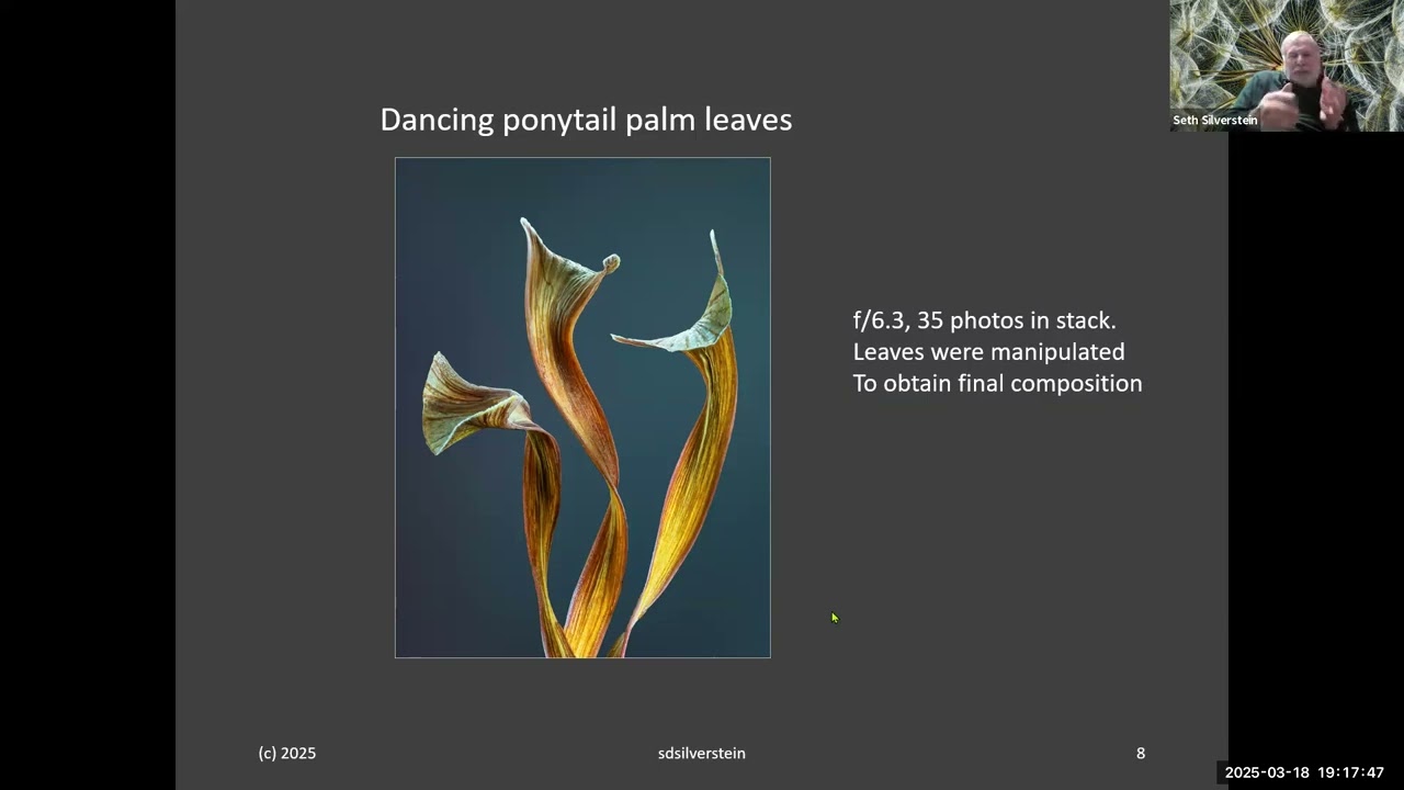 Focus Stacking Photography