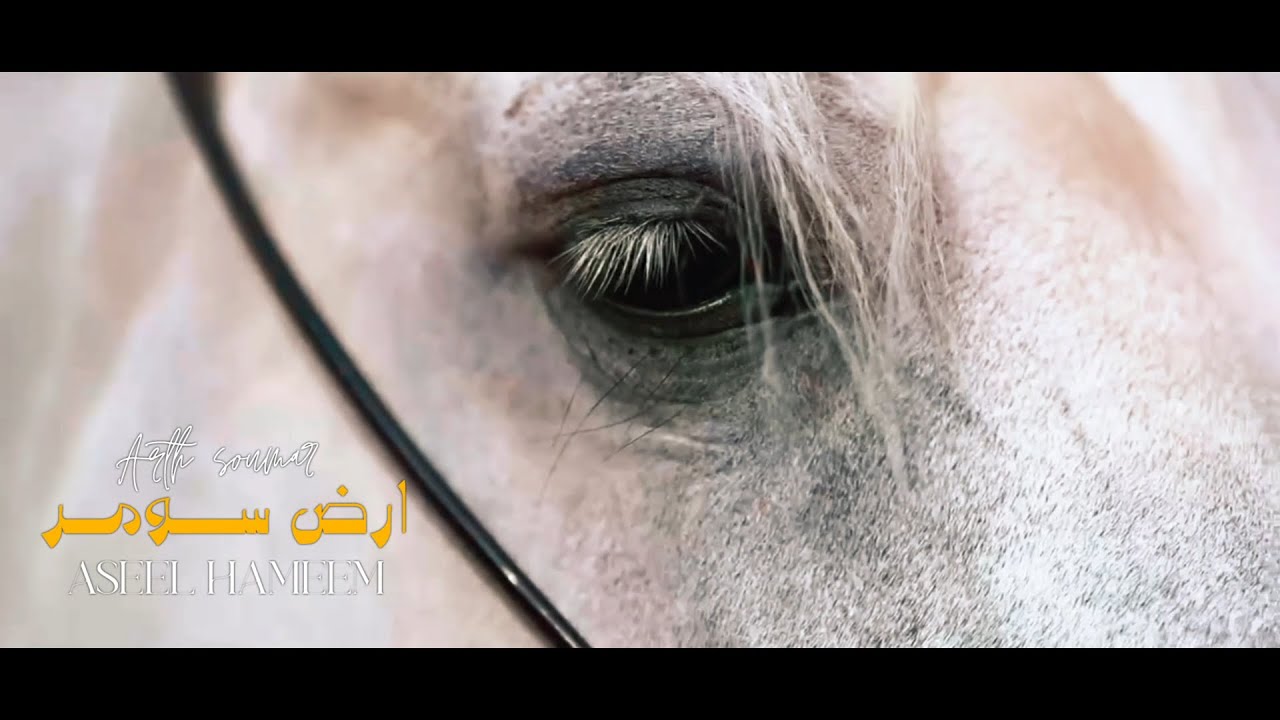 اصيل هميم - ارض ســومـر ( حصريا ) | 2024