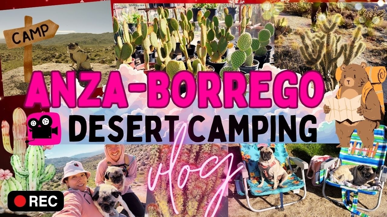 🎁 Anza-Borrego Camping Vlog | PLANNER BABE CHRISTMAS | DAY 24